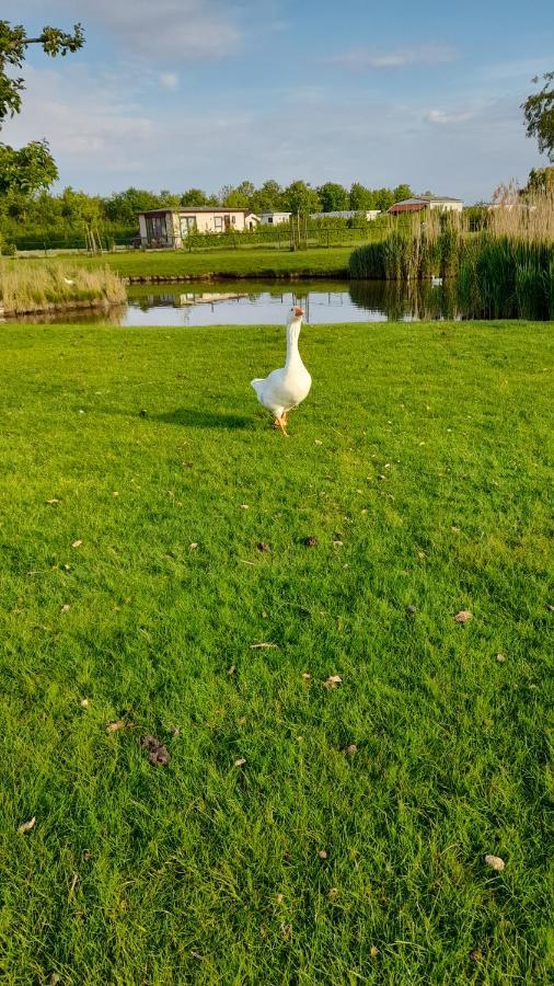 'T Blauwtje Baarland 빌라 외부 사진